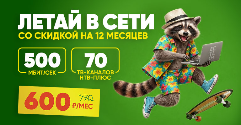 Летай в сети